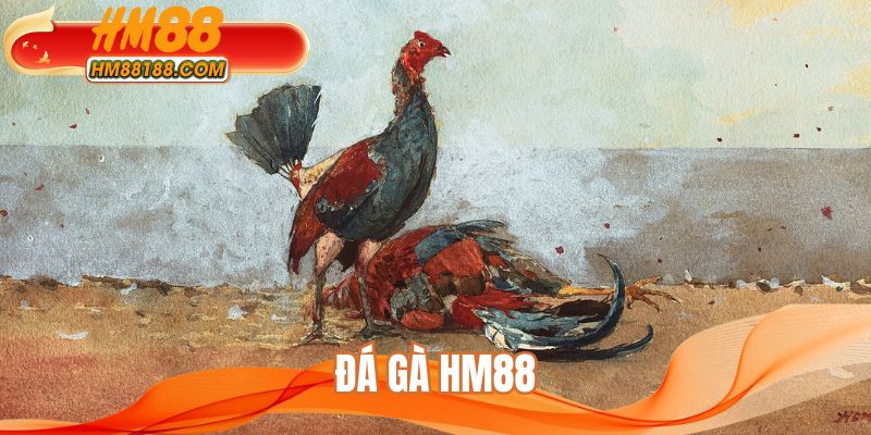 Đá Gà HM88